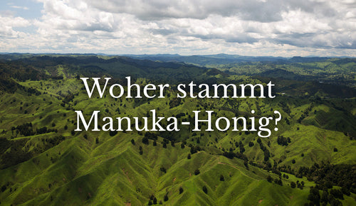 Woher stammt Manuka-Honig? Unsere Reiseautorin besucht das neuseeländische Manuka-Land, um es herauszufinden